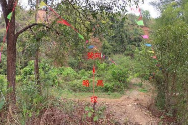 影响后人的祖坟风水，千万注意