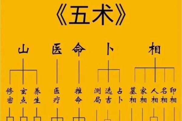 什么四语和紫薇斗数