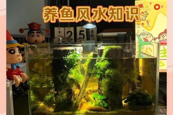 仓房养鱼风水好吗