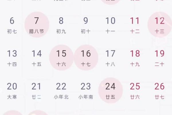 2024龙年农历十一月二十五日是提车吉日吗？