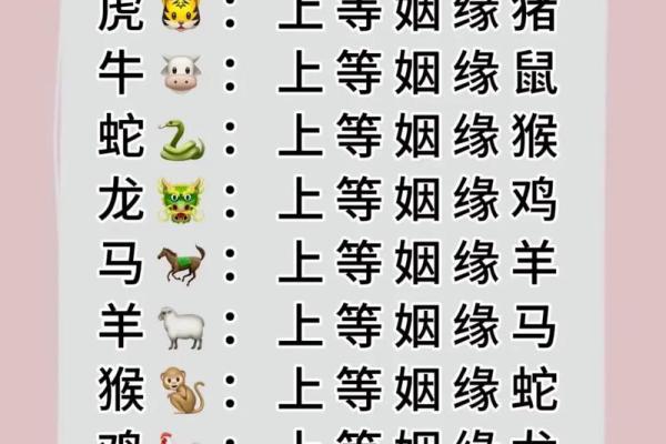什么生肖最相配？十二生肖婚姻配对大全