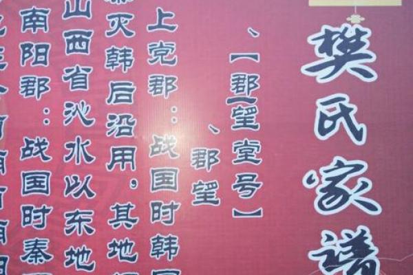 樊姓女孩名字大全-樊姓女孩起名字大全-樊姓名字大全姓名