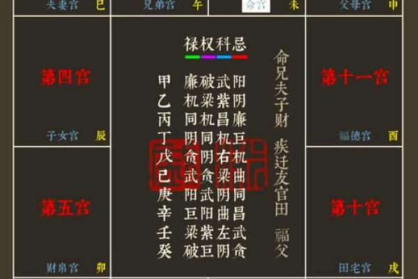 紫薇斗数星盘下载