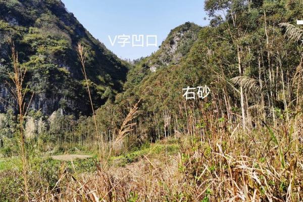先人的影响，可当官的祖坟风水