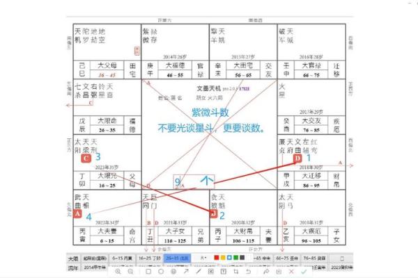 紫薇斗数梁派