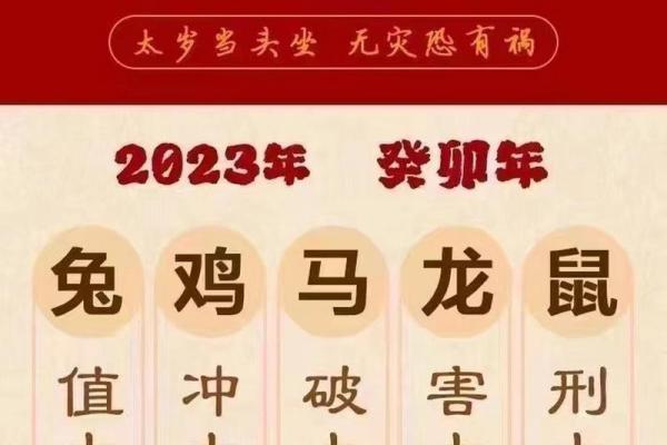 算命青龙什么意思