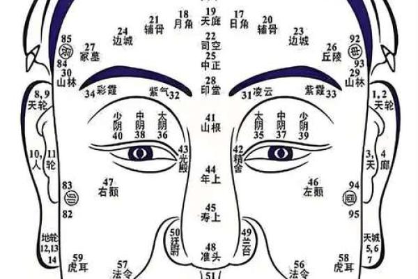 算命青龙什么意思