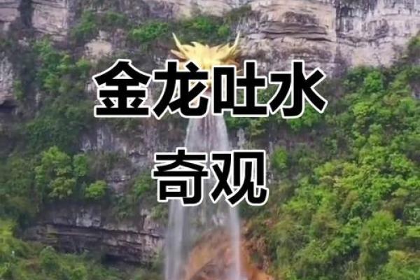 风水上龙吐水寓意是什么