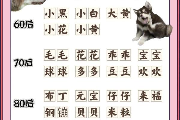 中午1点出生的属狗男孩如何取名，宜用什么字姓名