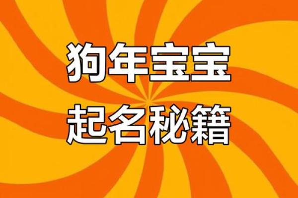 中午1点出生的属狗男孩如何取名，宜用什么字姓名
