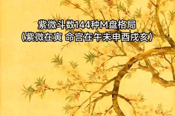 紫薇斗数明盘