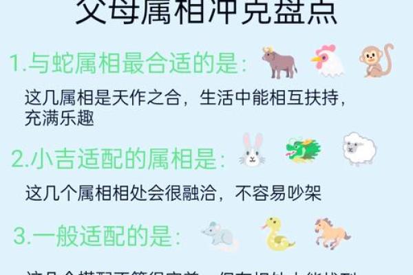 蛇跟什么生肖配对最好 生肖蛇最佳配对