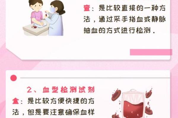 个人血型查询网 怎样查询个人血型