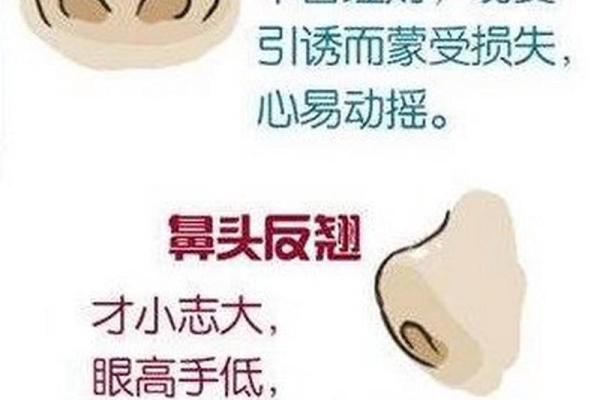 相面算命看见鼻孔好吗