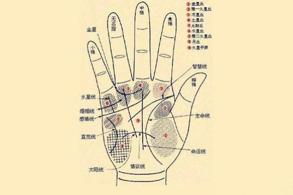 凯帝阿手相算命图解大全08