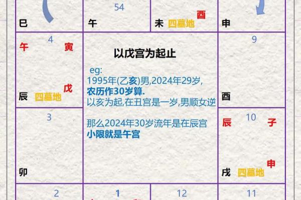 紫薇斗数大限工作