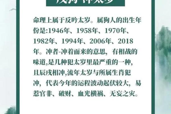 算命属狗岁女儿