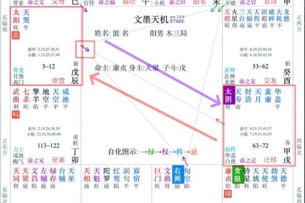 紫薇斗数叠忌