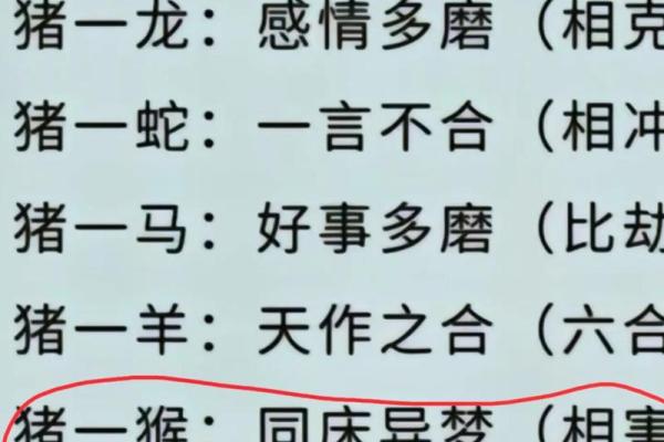 属猴男和什么属相配对