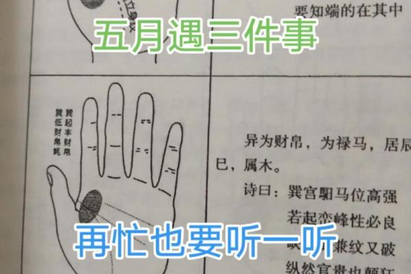 属猴午时出生的男孩应该取个怎样的名字姓名