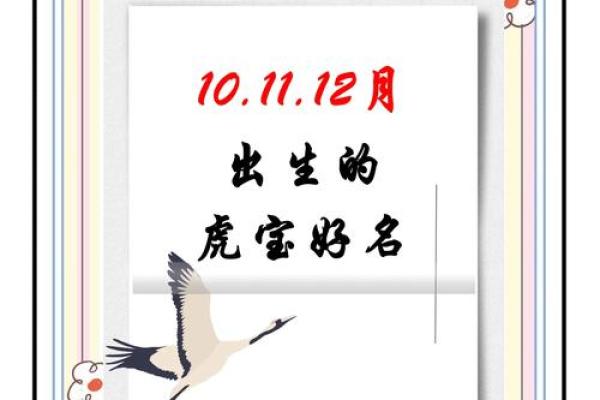 早上8点出生的属虎男孩如何起名，应用什么字姓名
