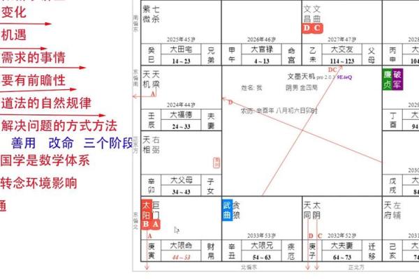 紫薇斗数校园暴力