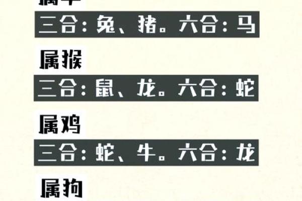 生肖配对 十二生肖最佳配对表格