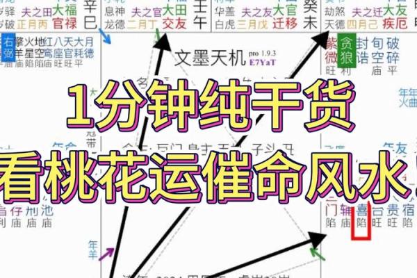 紫薇斗数测桃花
