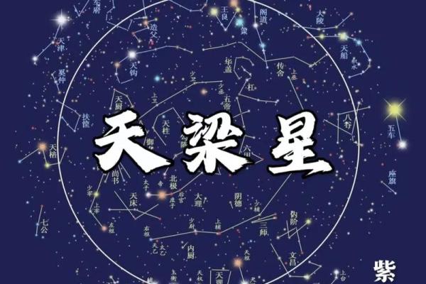 紫薇斗数速成