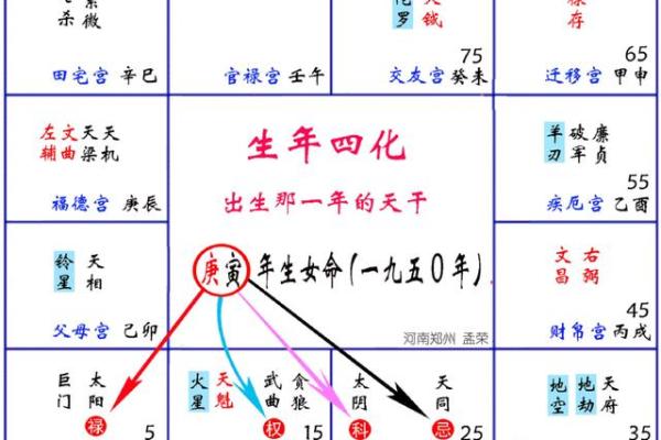 紫薇斗数双化科