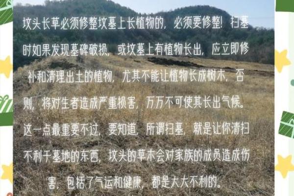 教你在清明节如何查看阴宅风水