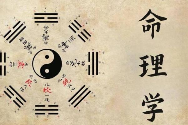 哪种命相八字的人适合学算命