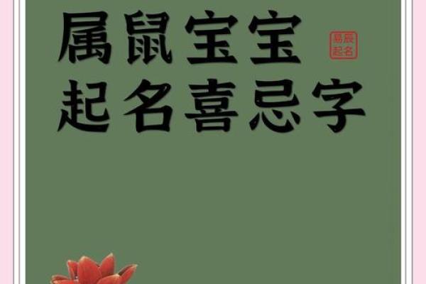 如何给下午3点出生的属鼠男孩起名字姓名