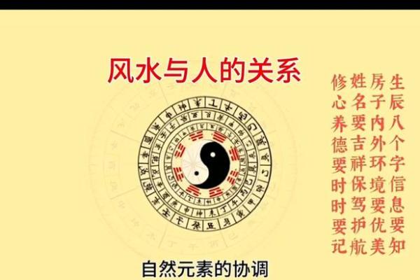 阴阳八字