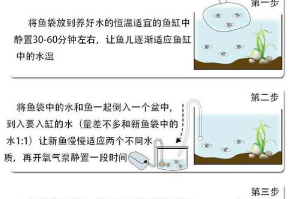 养金鱼有哪些风水讲究-