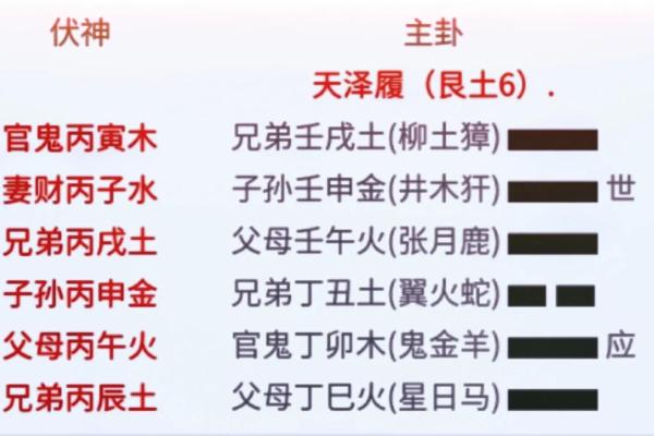 履卦风水