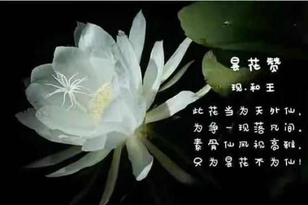 如何判断身上有仙骨的征兆风水