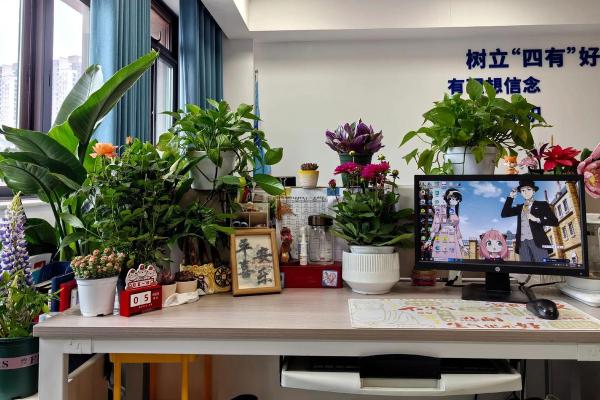 办公桌风水摆放