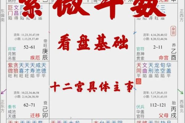 紫薇斗数男命命宫紫薇