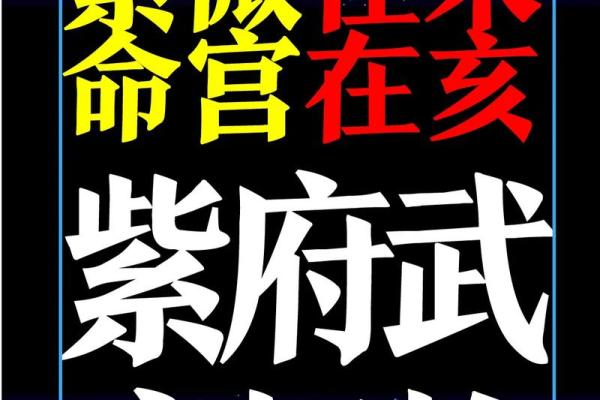 紫薇斗数断盘