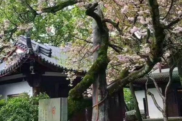 方岩灵签30签