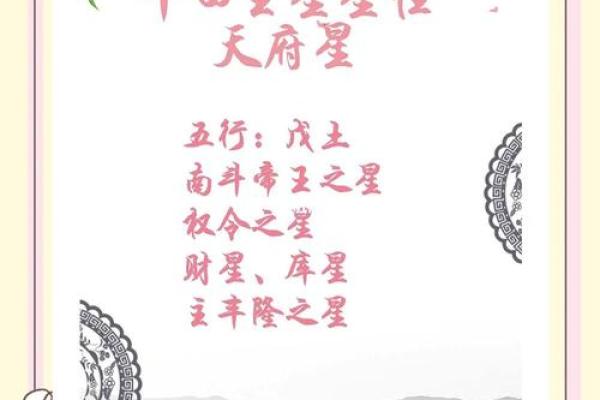 紫微斗数之事业宫与诸星，天府星在事业宫是什么意思？