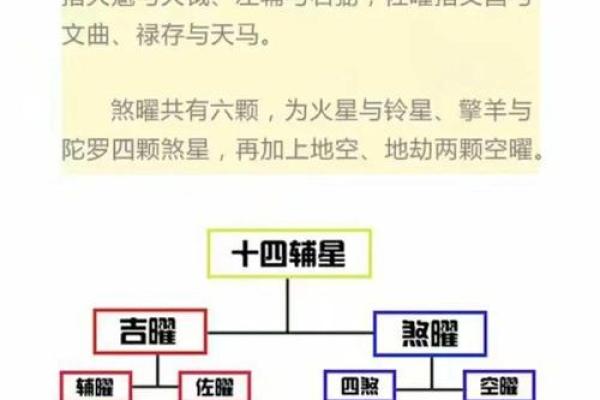 紫薇斗数初级入门