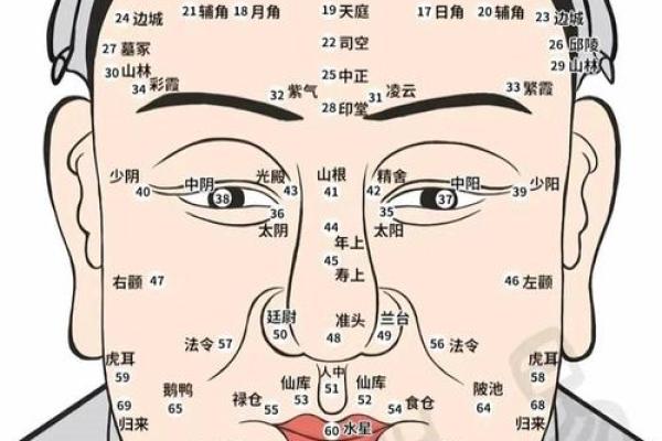 眉间八字纹，眉间两道竖纹代表什么