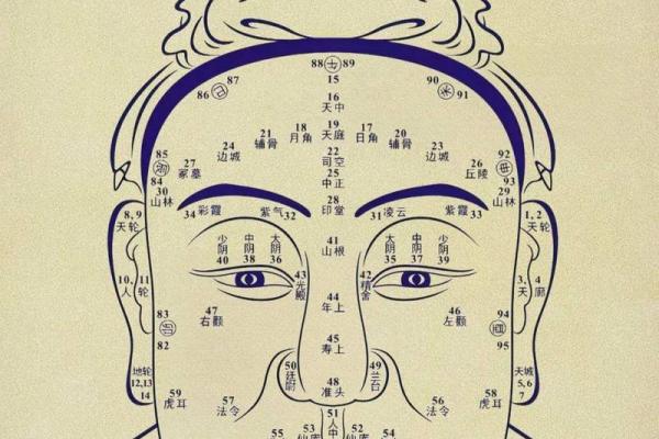 眉间八字纹，眉间两道竖纹代表什么