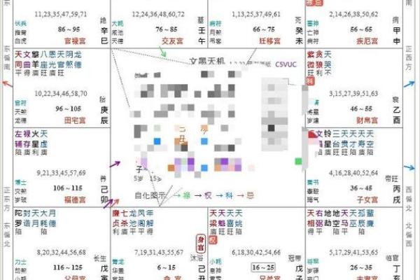 紫薇斗数父疾线看什么