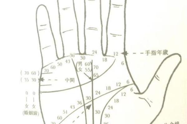 手相算命图解：3种手掌纹路看你是否能暴富，大富大贵享不尽
