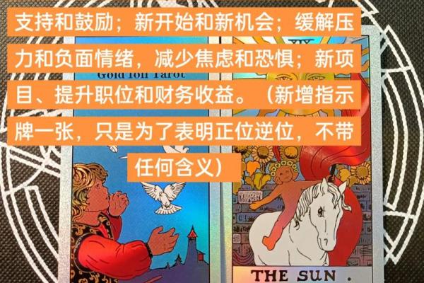 塔罗测试：三月学习运？
