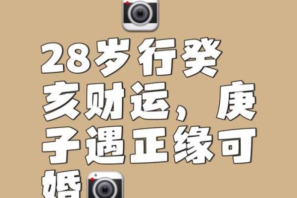 戊午命最好的八字