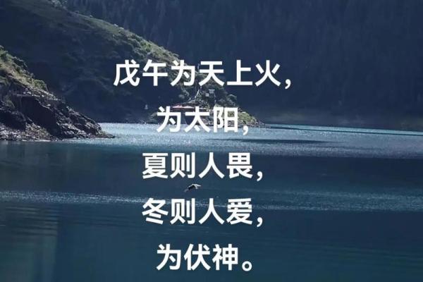 戊午命最好的八字